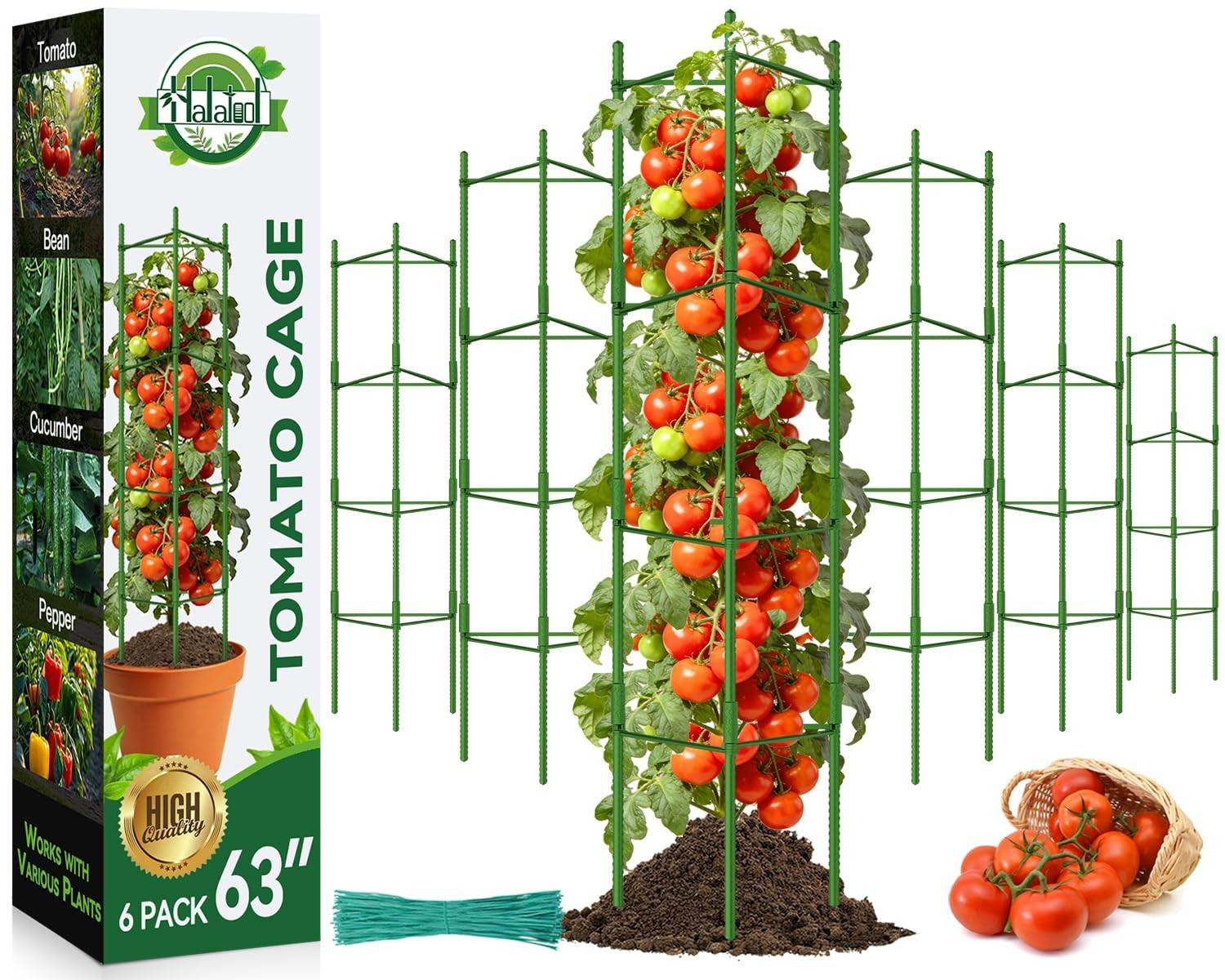 Solidchoice Set van 6 Hoge Tomaten Cages met Uitbreidbare Klimarmen