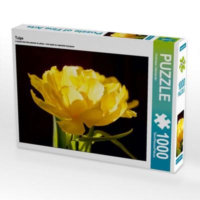 CALVENDO Puzzle Tulpe | 1000 Teile Lege-Größe 64x48cm Foto-Puzzle für glückliche Stunden