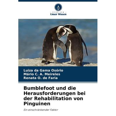 Bumblefoot und die Herausforderungen bei der Rehabilitation von Pinguinen, Taschenbuch von Luiza da Gama Osório,Mário C. A. Meireles,Renata O. de