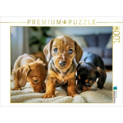 CALVENDO Puzzle Pfotenliebling, winzig, warm, unwiderstehlich. | 1000 Teile Lege-Größe 64x48cm Foto-Puzzle für glückliche Stunden, von , Calvendo