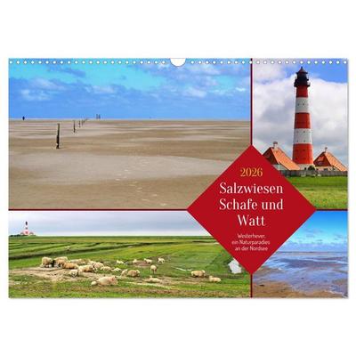 Salzwiesen, Schafe und Watt - Westerhever, ein Naturparadies an der Nordsee (Wandkalender 2026 DIN A3 quer), CALVENDO Monatskalender