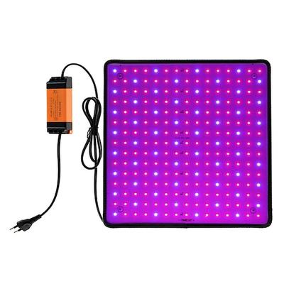 LED-Quantum-Board-Vollspektrum-Pflanzenlampe für Gewächshäuser Sukkulenten, Zimmerpflanzen Hydroponik, EU/US/UK/AU-Stecker, einstellbare Helligkeit, energieeffizient