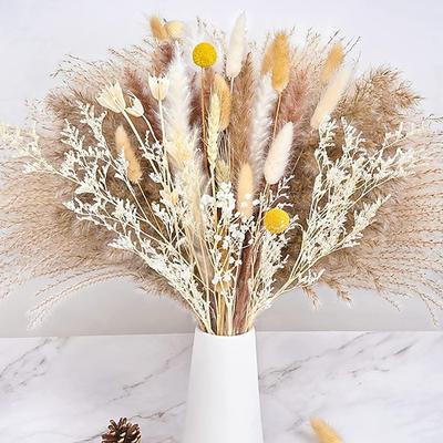 Pampasgras-Dekor-Set – natürliche Trockenblumen für DIY-Arrangements, ungiftig für Zuhause Hochzeitsdeko, Nutzung ohne Strom