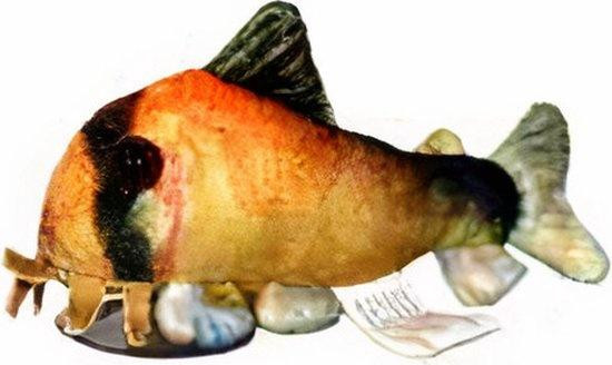CeramicNature Metae Corydoras Plush