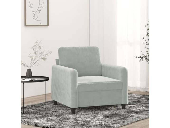 HEFZGDB Hellgrauer Samt Sessel 60 cm Breite mit Metallgestell für Wohnzimmer und Essbereich, Bequem gepolsterter Sitz mit Rückenkissen, Modernes Design für Entspannung und Lesen,