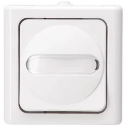Kopp 560602007 Universalschalter AP-FR beleuchtet10AX 250V IP44 Blueelectric arktis