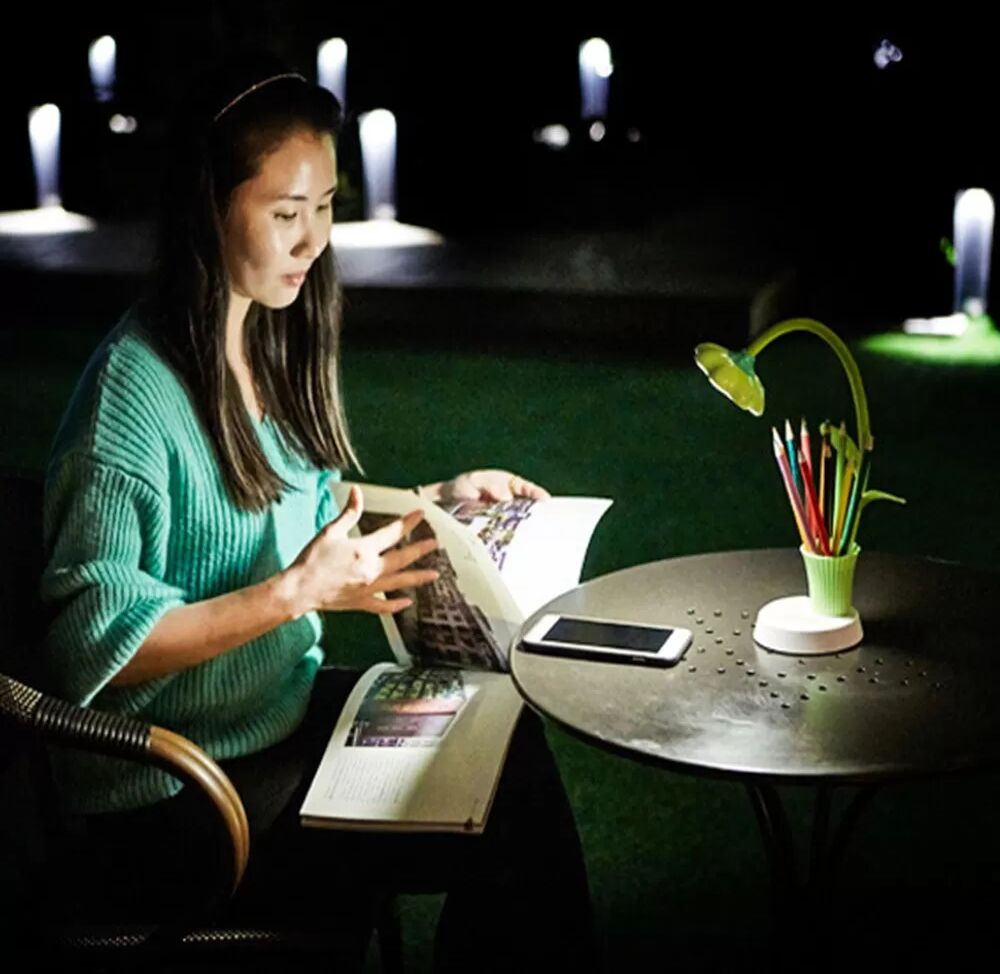 INF Lampe de Bureau Tournesol avec Porte-Stylo : Réglable, Intensité Variable et Rechargeable USB