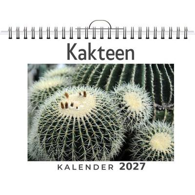 Kakteen
