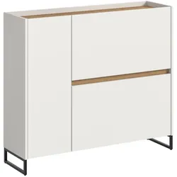 Ebuy24 Drive Schuhschrank 1 Tür, 2 Klappentüren weiß.