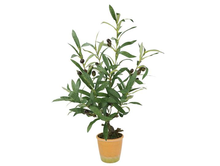 Kunstpflanze I.GE.A. Künstlicher Olivenbaum mit schwarzen Früchten , grün, B:35cm H:57cm L:27cm, Polyester, Kunstpflanzen, Kunstpflanze, Olive Mediterran Ölbaum Grünpflanze Kunstbaum Dekobaum Baum