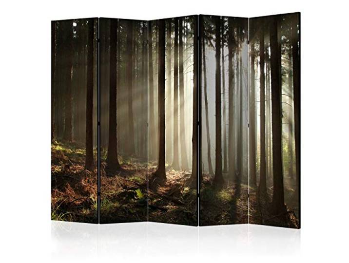 decomonkey Paravent Raumteiler Innen Wald, 225x172 cm, 5-teilig, Beidseitig Natur, Baum, Wohnzimmer, Room Divider, Wall, Raumteiler Stehend, Trennwand, Sichtschutz, Spanische Wand, Sichtschutzwand