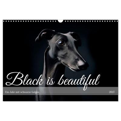 Black is beautiful (Wandkalender 2027 DIN A3 quer), CALVENDO Monatskalender