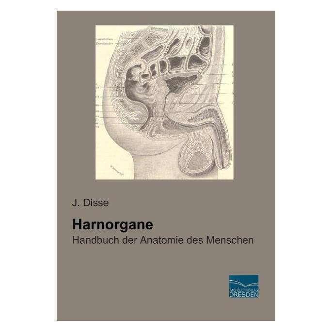 Fachbuchverlag Harnorgane (Deutsch, Softcover, J Disse) (55603752)