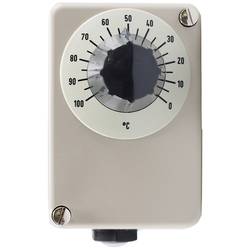 Jumo 2-Punkt-Regler Temperaturregler 125 °C (max.) Relais 10 A 60001126
