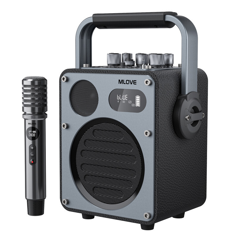 Mlove Rangers D4 Bluetooth karaoke luidsprekersysteem met draadloze microfoons