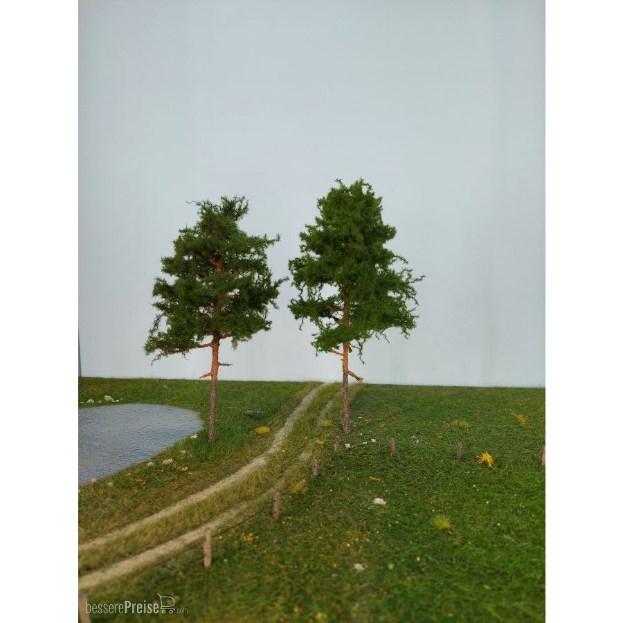 Silhouette 270-50