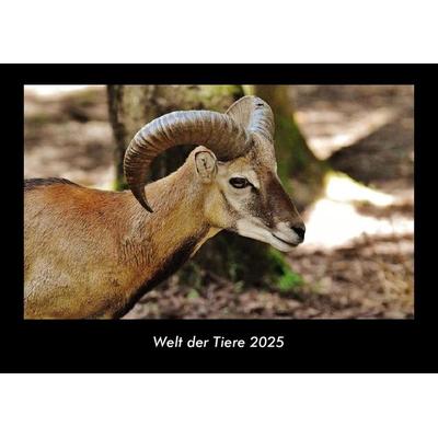 Welt der Tiere 2025 Fotokalender DIN A3