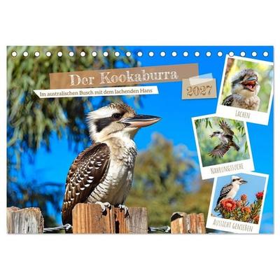 Der Kookaburra - Im australischen Busch mit dem lachenden Hans (Tischkalender 2027 DIN A5 quer), CALVENDO Monatskalender