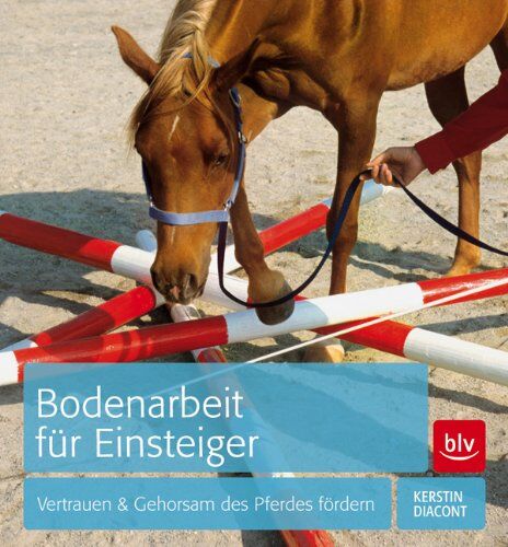 Kerstin Diacont - Bodenarbeit für Einsteiger - Preis vom 11.10.2026 15:43:13 h