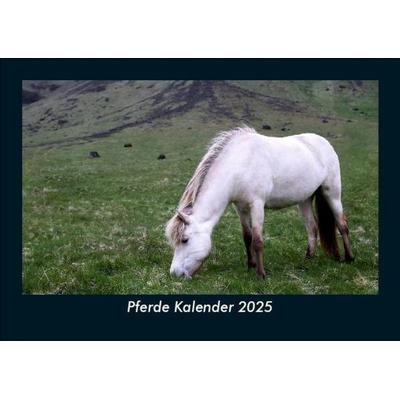 Pferde Kalender 2025 Fotokalender DIN A5