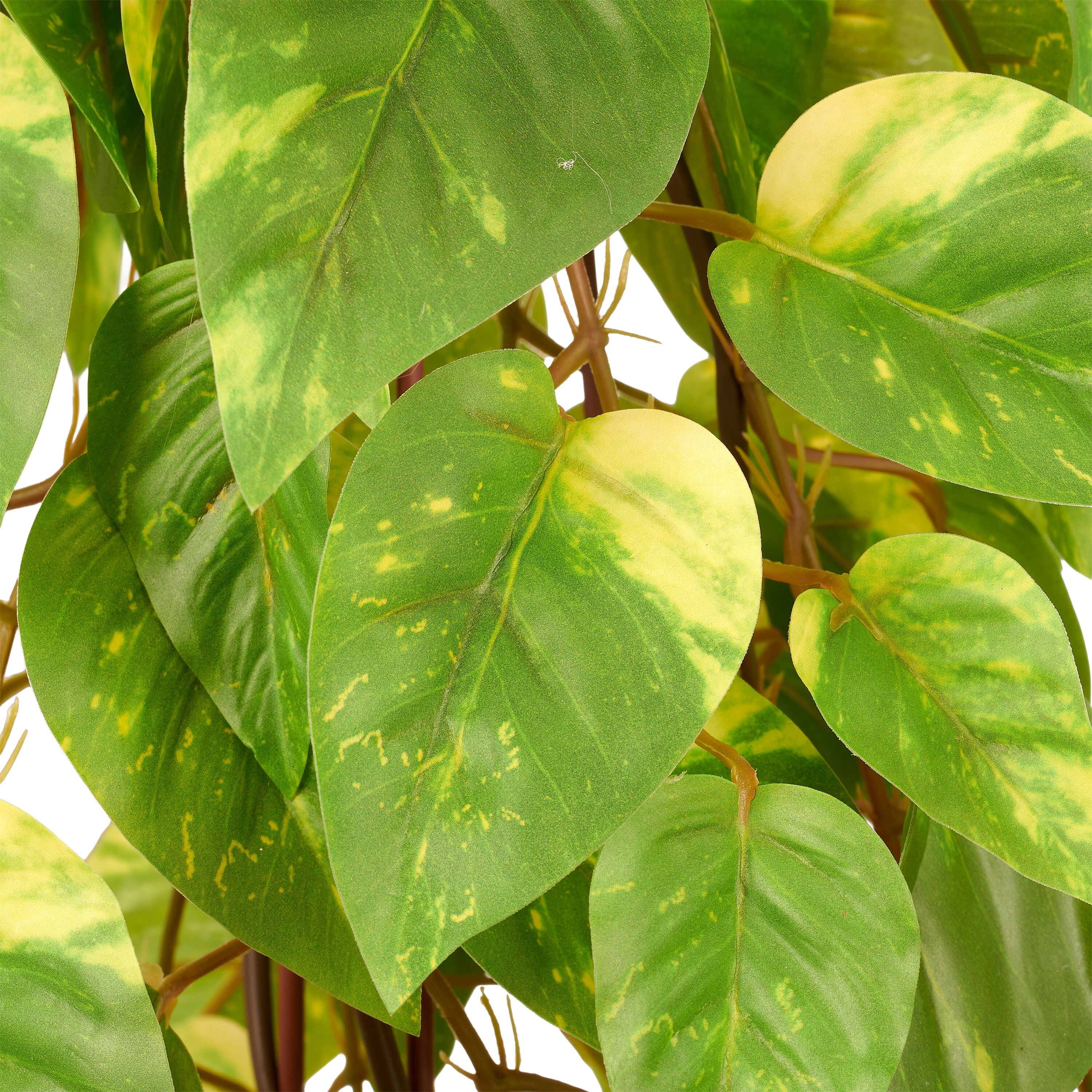 Kunstpflanze CREATIV GREEN "Epipremnum", grün, H:95cm, Obermaterial: 100% Kunststoff, Kunstpflanzen, Kunstpflanze, in Pyramidenform