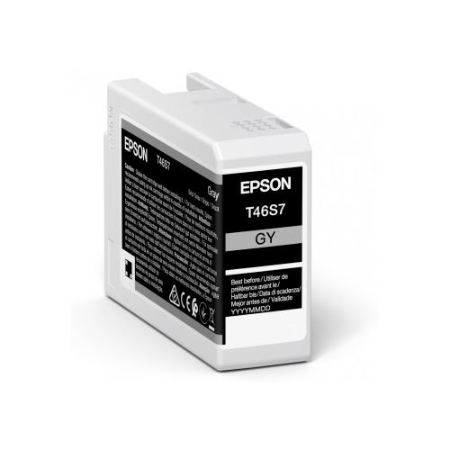 Epson Tinte grau 26ml C13T46S700
