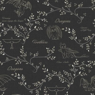 How to Train Your Dragon Toothless Radical Nature Black Peel and Stick Wallpaper