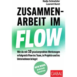Schnetzler:Zusammenarbeit im Flow, Fachbücher von Laurent Burst, Nadja Schnetzler