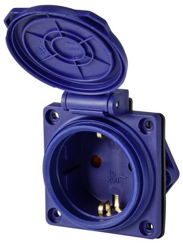 Sygonix SY-6746376 Schutzkontakt-Steckdose IP44 Blau