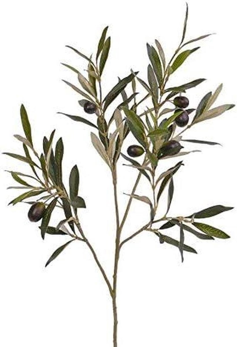Decoratieve Olijftak met vruchten - Groen - 55 cm