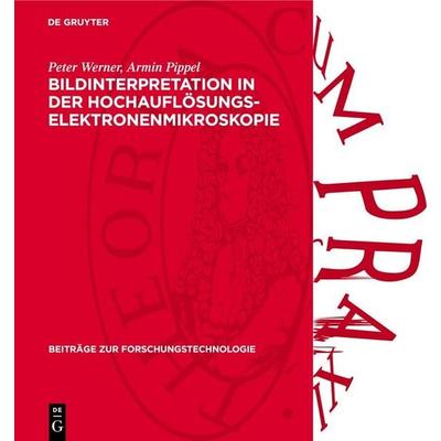 Bildinterpretation in der Hochauflösungs-Elektronenmikroskopie, Gebundene Ausgabe von Reinald Hillebrand,Kurt Scheerschmidt,Wolfgang Neumann,Peter