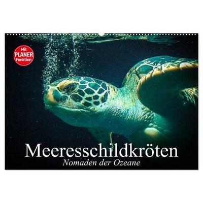 Meeresschildkröten. Nomaden der Ozeane (Wandkalender 2026 DIN A2 quer), CALVENDO Monatskalender