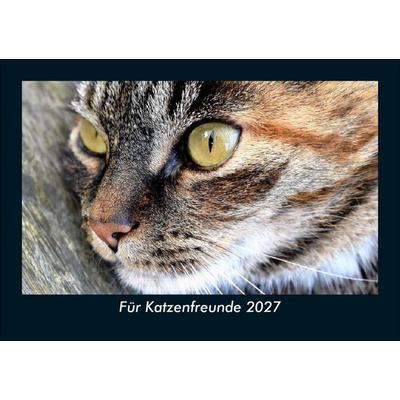 Für Katzenfreunde 2027 Fotokalender DIN A5