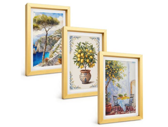 BILDER SET 3er Set - 20x30 cm Goldrahmen - Tisch aus Zitronenbaum