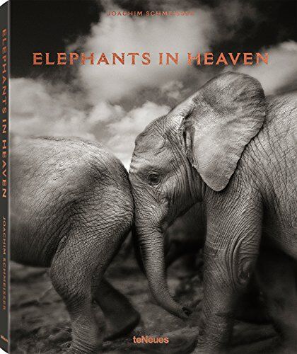 Joachim Schmeisser - Elephants in heaven - Preis vom 30.09.2026 09:01:18 h