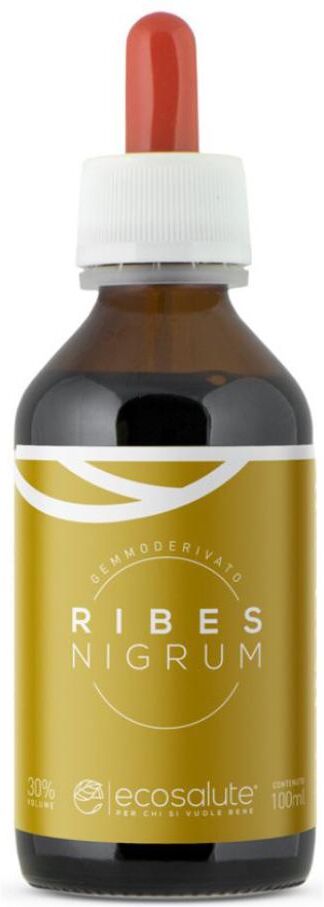 SPAZIO ECOSALUTE Srl RIBES NIGRUM GEMMODERIV 100ML