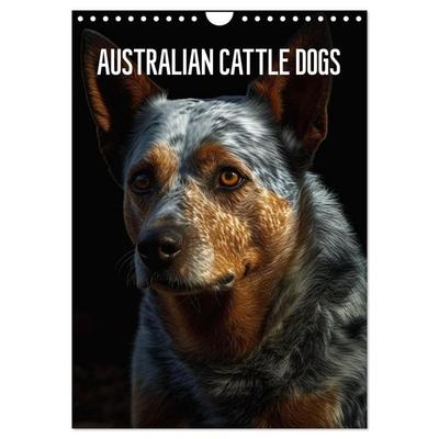 Australian Cattle Dogs (Wandkalender 2026 DIN A4 hoch), CALVENDO Monatskalender
