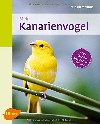 Harro Hieronimus - Mein Kanarienvogel zu Hause - Preis vom 09.10.2026 07:28:09 h