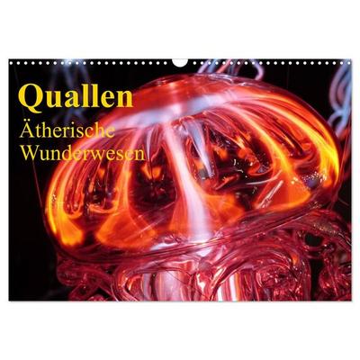 Quallen • Ätherische Wunderwesen (Wandkalender 2026 DIN A3 quer), CALVENDO Monatskalender