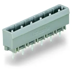 WAGO GmbH &amp; Co. KG THT-Stiftleiste Lötstift 231-243/001-000