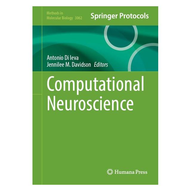Springer Computational Neuroscience (Englisch, Hardcover, Antonio Di Ieva, Jennilee M. Davidson) (70885598)