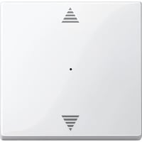 Wippe für Tastermodul einfach, glänzend, Thermoplast, System M, Typ 619419 weiß (glänzend), Retail