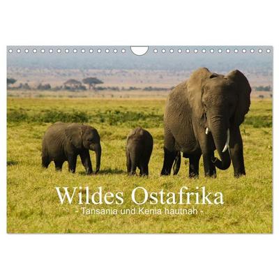 Wildes Ostafrika - Tansania und Kenia hautnah (Wandkalender 2027 DIN A4 quer), CALVENDO Monatskalender