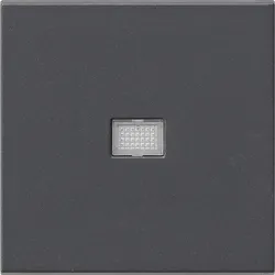 Gira Wippe anth 029828