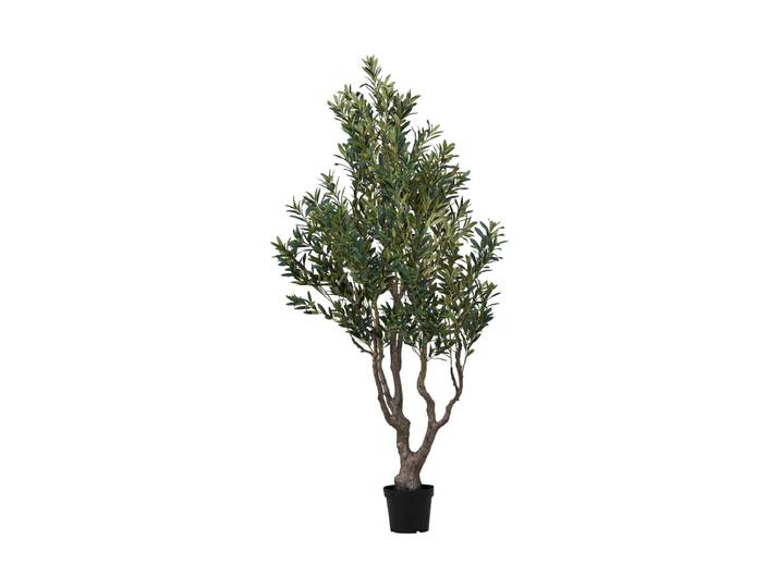 Lebensechter Olivenbaum „Natros“ 220 cm Grün, Braun Nordic Living