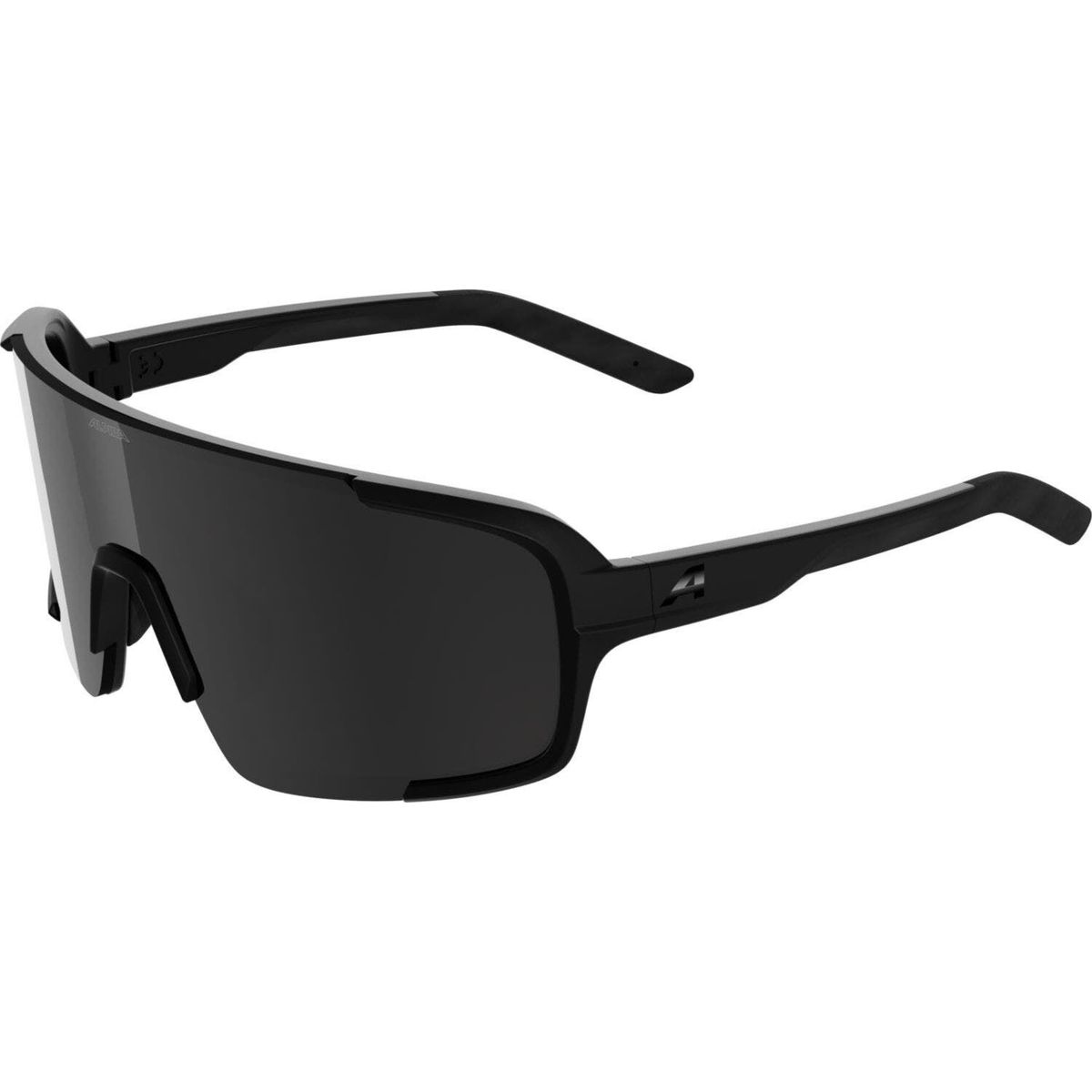 Alpina Lumin black matt schwarz (31) one size A8767431