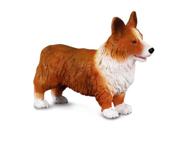 Collecta Welsh Corgi