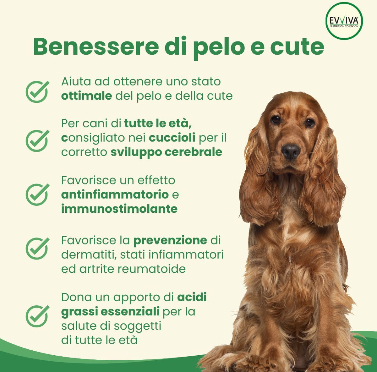 Evviva Pet Nutrition to Enjoy Full Omega 3 250G