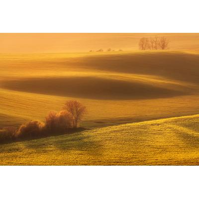 Fototapete PAPERMOON "Landschaft", bunt, B:2m L:1,49m, Vlies, Tapeten