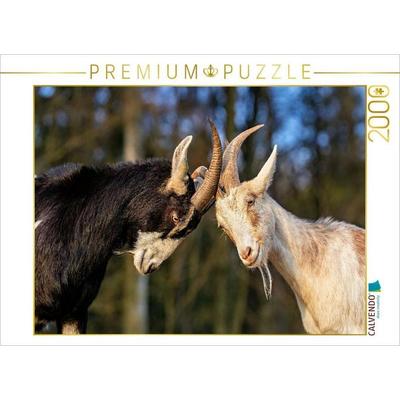 CALVENDO Puzzle Zwei, die sich mögen | 2000 Teile Lege-Größe 90x67cm Foto-Puzzle für glückliche Stunden